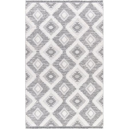 Livabliss Morocotton MCT-2303 Area Rug , With Fringe MCT2303-649